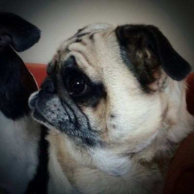 Charlie